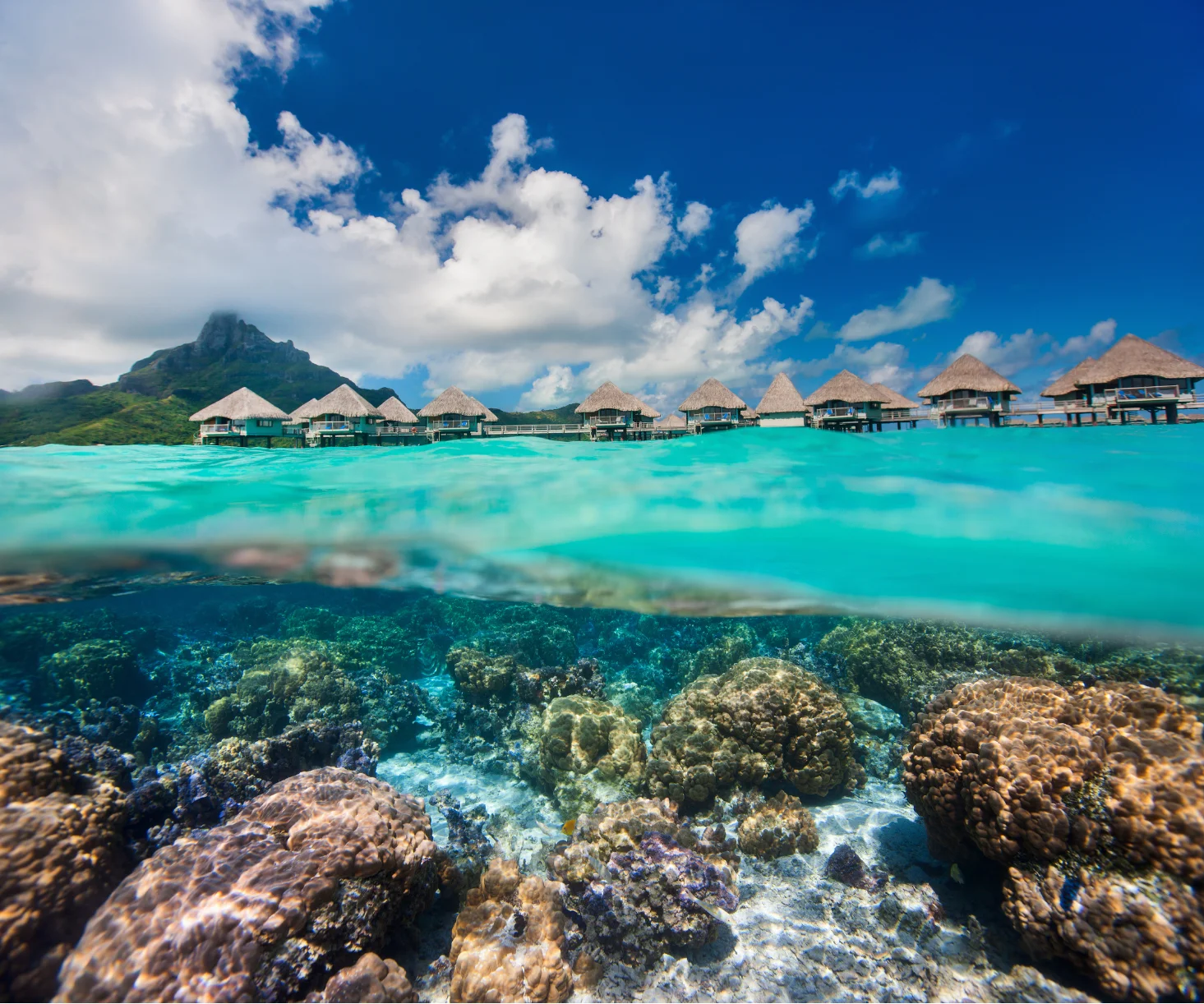 French Polynesia Paradise | Tahiti by Wonder's Pathway